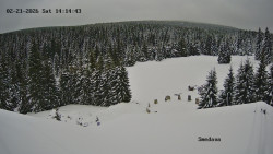 Směďava, Černý vrch