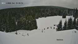 Směďava, Černý vrch