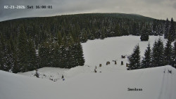 Směďava, Černý vrch