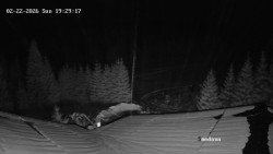 Směďava, Černý vrch