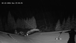 Směďava, Černý vrch