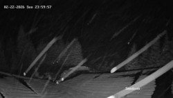 Směďava, Černý vrch