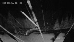 Směďava, Černý vrch