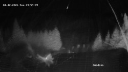 Směďava, Černý vrch