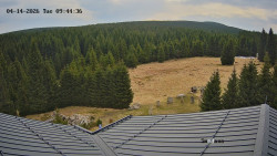 Směďava, Černý vrch