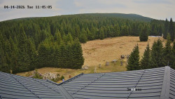 Směďava, Černý vrch