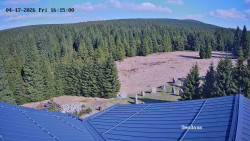 Směďava, Černý vrch