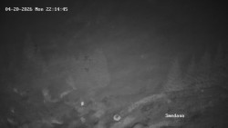 Směďava, Černý vrch