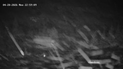 Směďava, Černý vrch