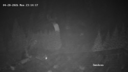 Směďava, Černý vrch