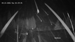 Směďava, Černý vrch