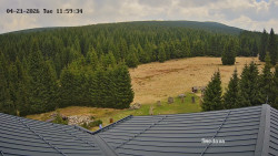 Směďava, Černý vrch