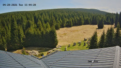 Směďava, Černý vrch