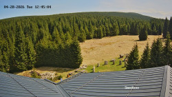 Směďava, Černý vrch