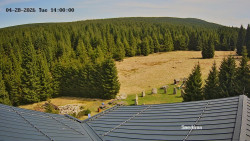 Směďava, Černý vrch