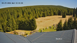 Směďava, Černý vrch