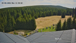 Směďava, Černý vrch