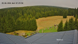 Směďava, Černý vrch