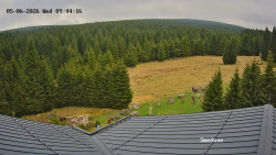 Směďava, Černý vrch