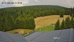 Směďava, Černý vrch