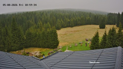Směďava, Černý vrch