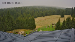 Směďava, Černý vrch