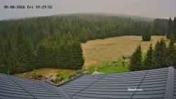Směďava, Černý vrch