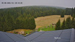 Směďava, Černý vrch