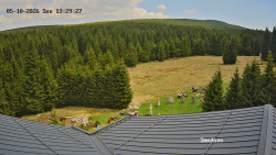 Směďava, Černý vrch
