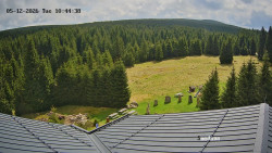 Směďava, Černý vrch