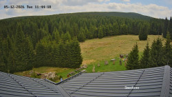 Směďava, Černý vrch