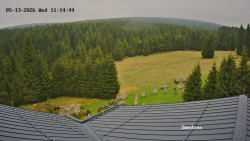 Směďava, Černý vrch