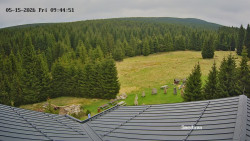 Směďava, Černý vrch