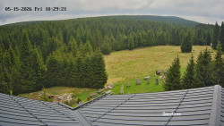 Směďava, Černý vrch