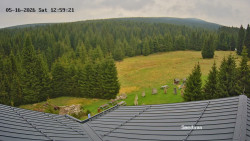 Směďava, Černý vrch