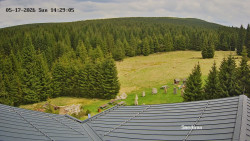Směďava, Černý vrch
