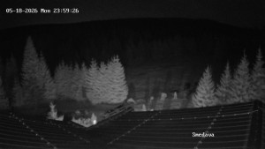 Směďava - Směďava, Černý vrch - 19.5.2026 v 00:00 Směďava - Směďava, Černý vrch - 19.5.2026 v 00:00