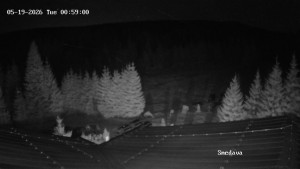 Směďava - Směďava, Černý vrch - 19.5.2026 v 01:00 Směďava - Směďava, Černý vrch - 19.5.2026 v 01:00