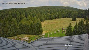 Směďava - Směďava, Černý vrch - 19.5.2026 v 13:00 Směďava - Směďava, Černý vrch - 19.5.2026 v 13:00