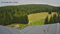 Směďava, Černý vrch