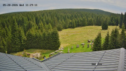 Směďava, Černý vrch