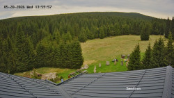 Směďava, Černý vrch