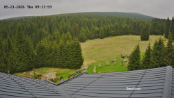 Směďava, Černý vrch