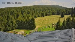 Směďava, Černý vrch