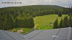 Směďava, Černý vrch