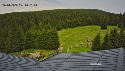Směďava, Černý vrch