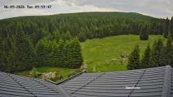 Směďava, Černý vrch