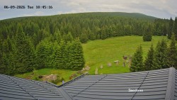 Směďava, Černý vrch