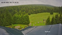 Směďava, Černý vrch