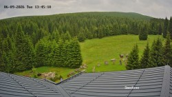 Směďava, Černý vrch